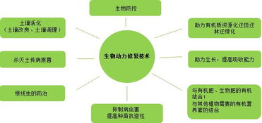 復振科技 從醫藥跨界環保的“野蠻人”，如何在環境科技領域開疆拓土？